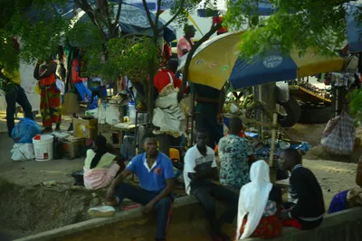 DSC_7771 (Large).JPG